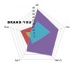 Brand Monitoring Reputation Management